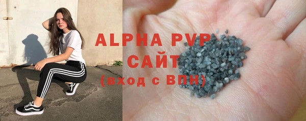 гашик Зеленокумск
