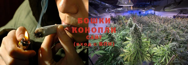 гашик Зеленокумск