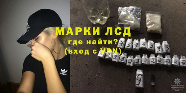 гашик Зеленокумск