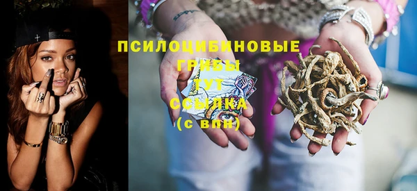 гашик Зеленокумск