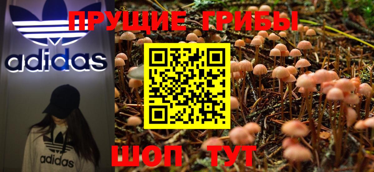 Псилоцибиновые грибы ЛСД Бузулук