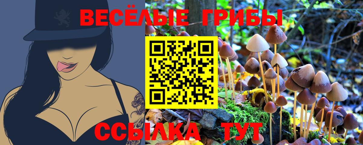 что такое   Бузулук  Галлюциногенные грибы мицелий 