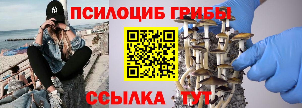 Бузулук  Псилоцибиновые грибы GOLDEN TEACHER  Вход с VPN 