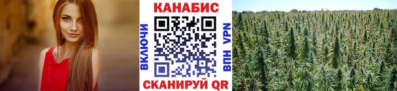 Марихуана THC 21%  что такое наркотик  Бузулук 